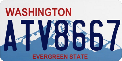 WA license plate ATV8667