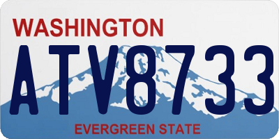 WA license plate ATV8733