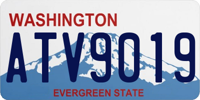 WA license plate ATV9019