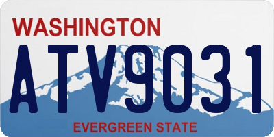 WA license plate ATV9031
