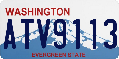WA license plate ATV9113