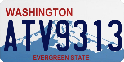 WA license plate ATV9313