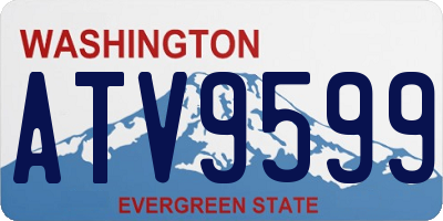 WA license plate ATV9599