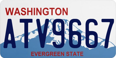 WA license plate ATV9667