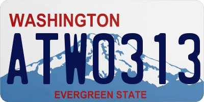 WA license plate ATW0313