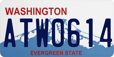 WA license plate ATW0614