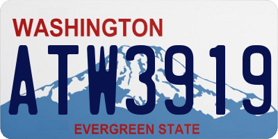 WA license plate ATW3919