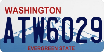 WA license plate ATW6029