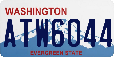 WA license plate ATW6044