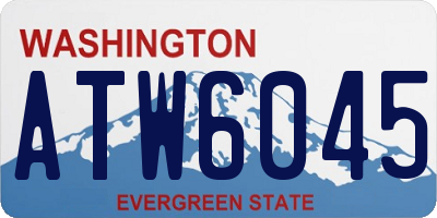 WA license plate ATW6045