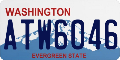 WA license plate ATW6046