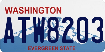 WA license plate ATW8203
