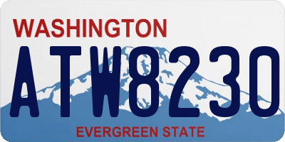 WA license plate ATW8230