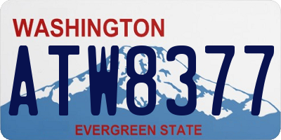 WA license plate ATW8377