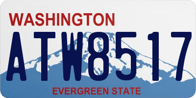 WA license plate ATW8517