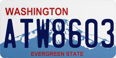WA license plate ATW8603