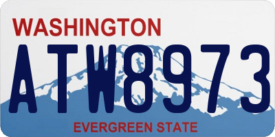 WA license plate ATW8973