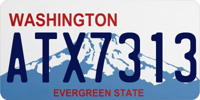 WA license plate ATX7313
