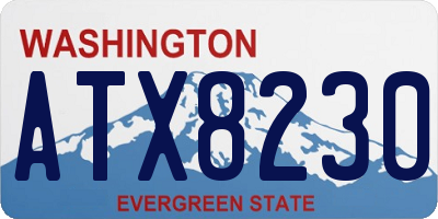 WA license plate ATX8230