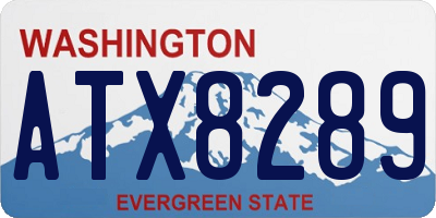 WA license plate ATX8289
