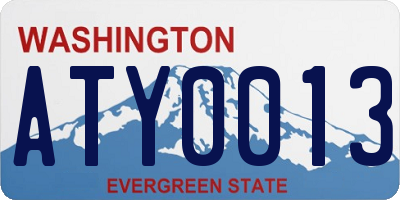WA license plate ATY0013