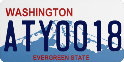 WA license plate ATY0018