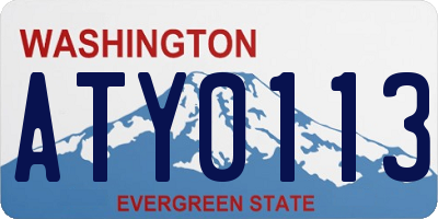 WA license plate ATY0113