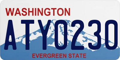 WA license plate ATY0230