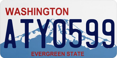 WA license plate ATY0599