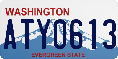 WA license plate ATY0613