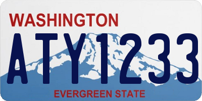WA license plate ATY1233