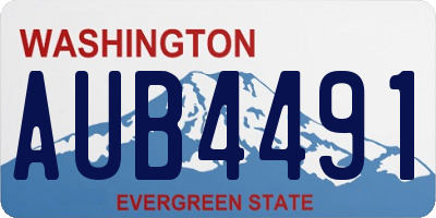 WA license plate AUB4491