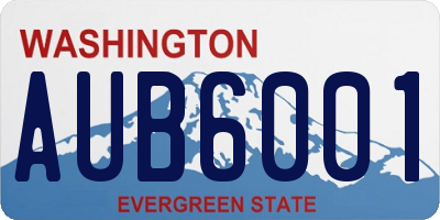 WA license plate AUB6001