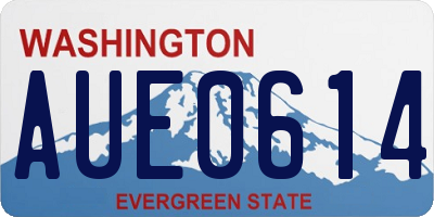WA license plate AUE0614