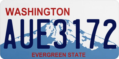 WA license plate AUE3172