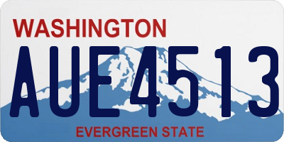 WA license plate AUE4513