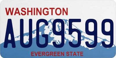 WA license plate AUG9599