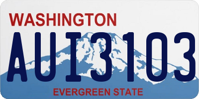 WA license plate AUI3103