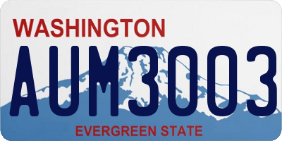WA license plate AUM3003