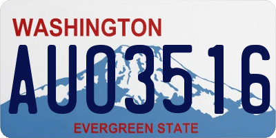 WA license plate AUO3516