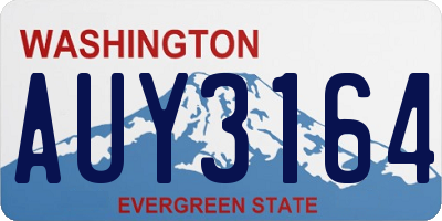 WA license plate AUY3164