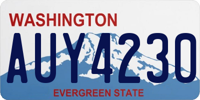 WA license plate AUY4230