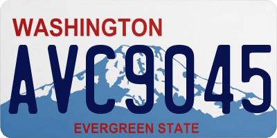 WA license plate AVC9045