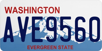 WA license plate AVE9560