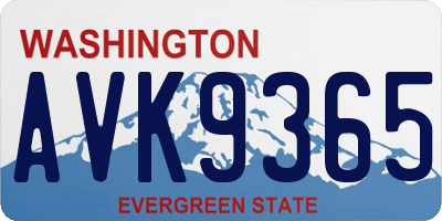 WA license plate AVK9365