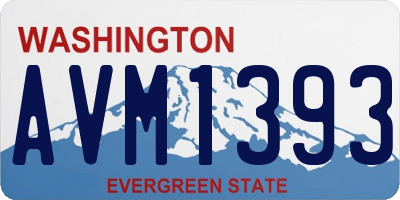 WA license plate AVM1393