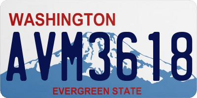 WA license plate AVM3618