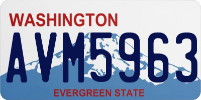 WA license plate AVM5963