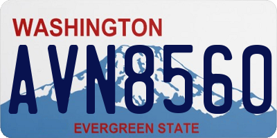 WA license plate AVN8560