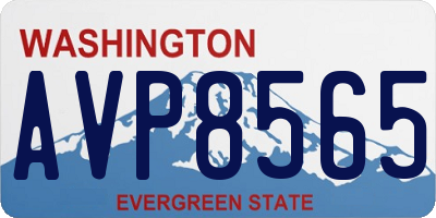 WA license plate AVP8565